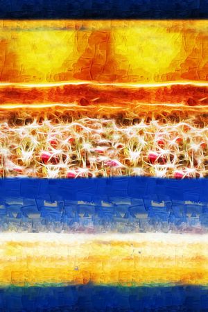 大气抽象印花华亿平台图片