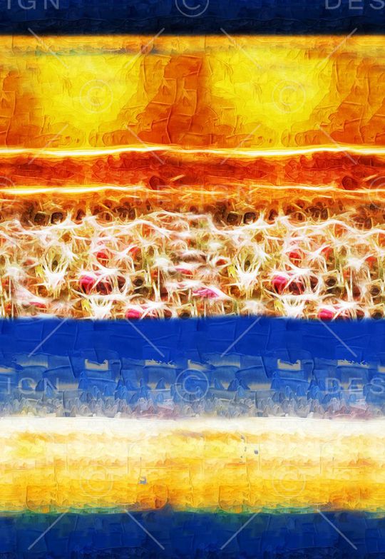 大气抽象印花华亿平台图片