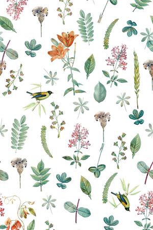 植物印花华亿平台图片