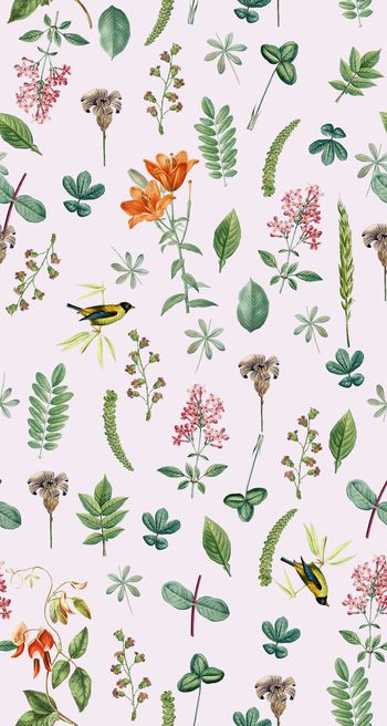 624738-yjn-605-01-01c