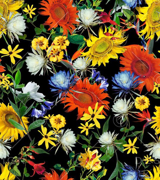 雏菊印花华亿平台图片