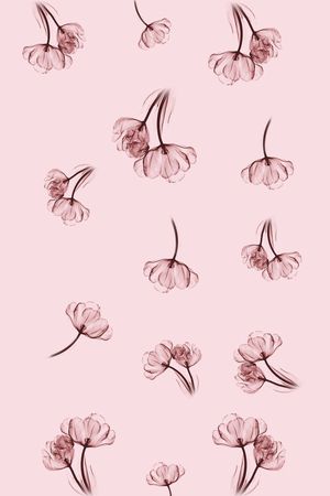 花朵印花华亿平台图片