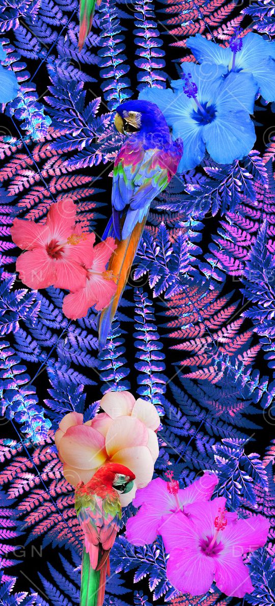 鹦鹉印花华亿平台图片