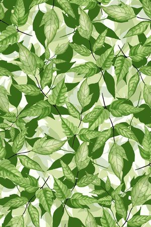 热带印花华亿平台图片