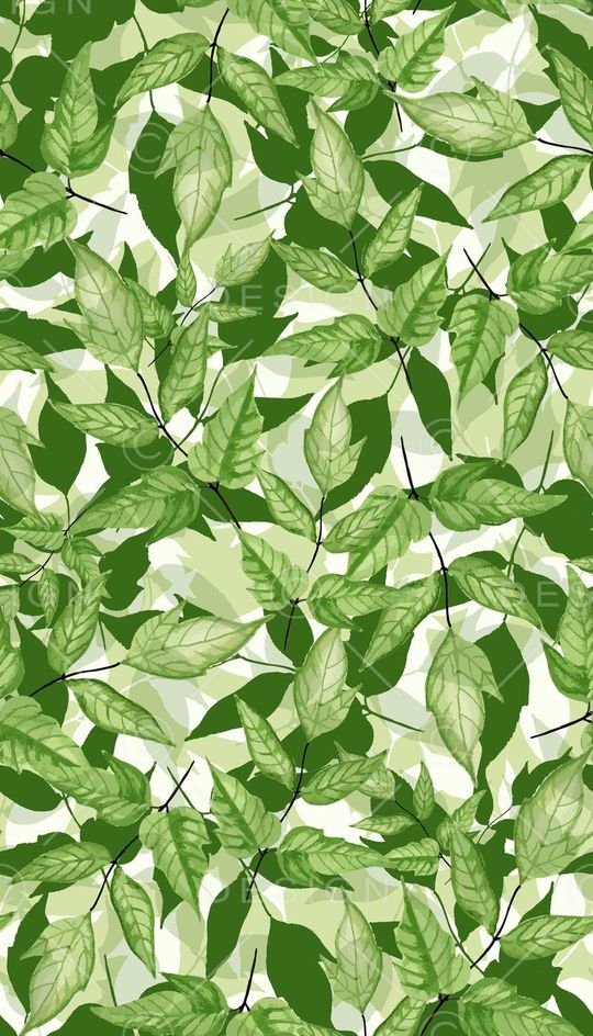 热带印花华亿平台图片