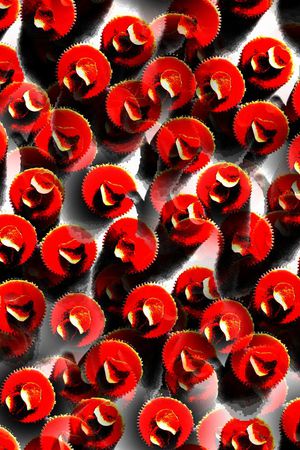 甜品印花华亿平台图片