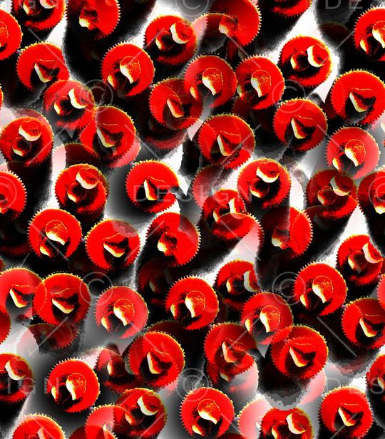 甜品印花华亿平台图片