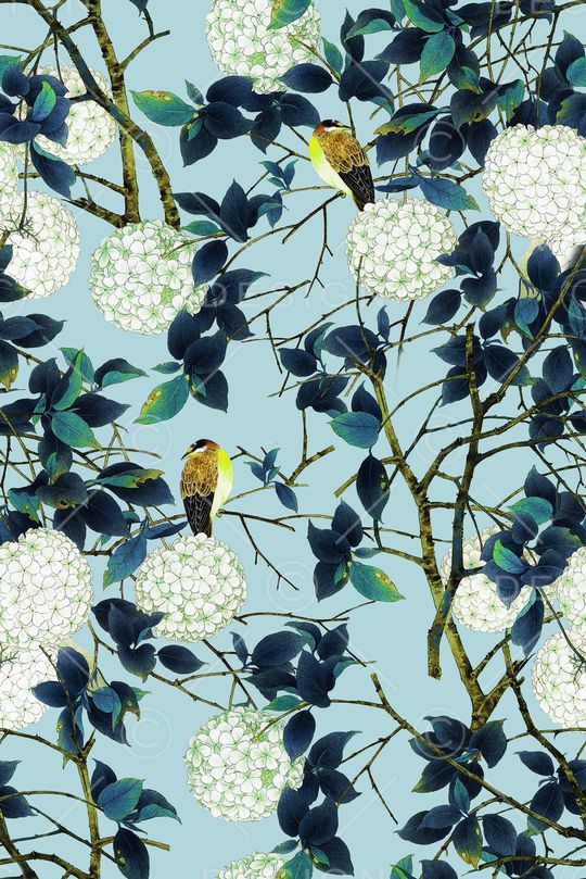 鸟印花华亿平台图片