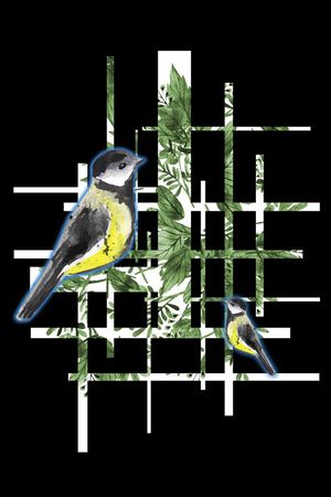 男装印花华亿平台图片