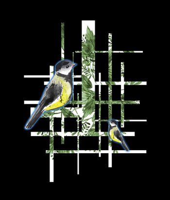 男装印花华亿平台图片