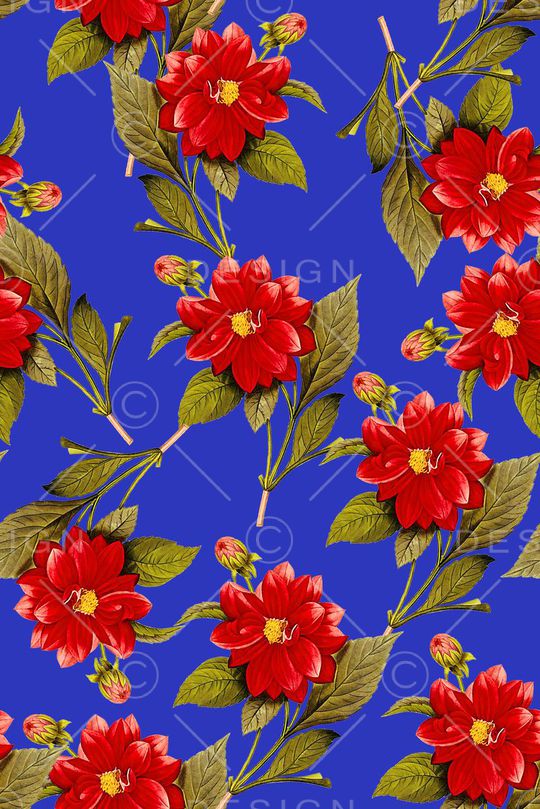 时尚手绘女装花卉植物印花印花华亿平台图片