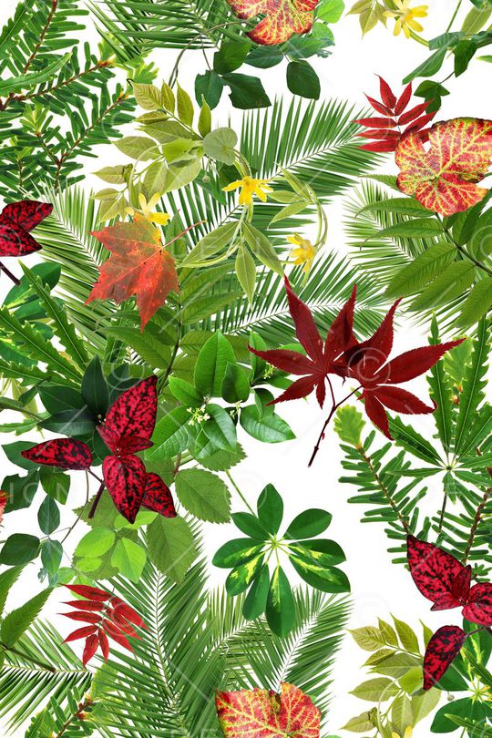 树叶印花华亿平台图片