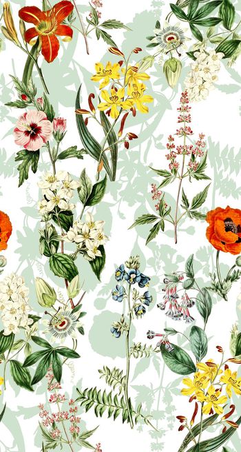 625112-yjn-605-02-01