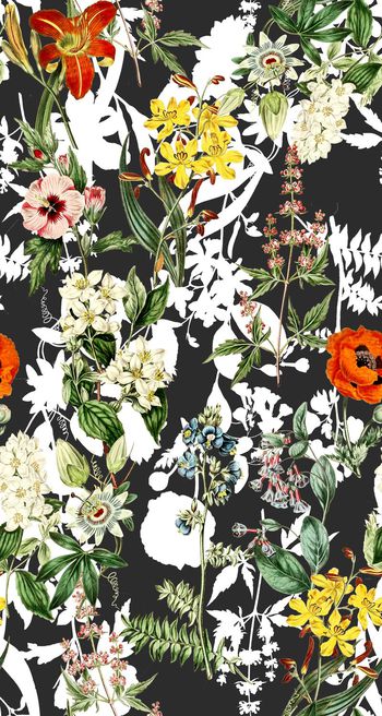 625114-yjn-605-02-01c