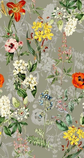 625115-yjn-605-02-01d