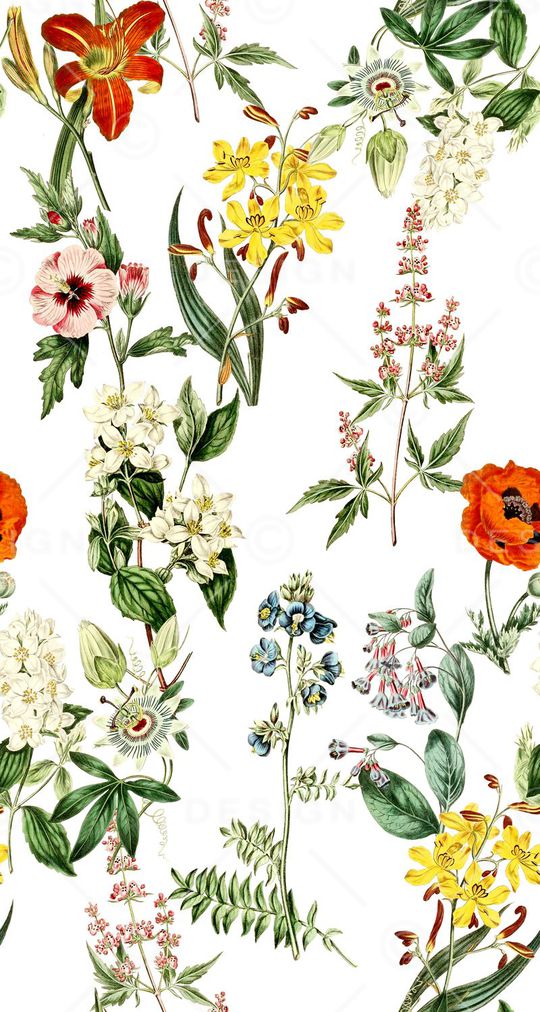 植物印花华亿平台图片