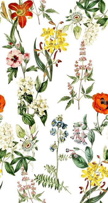 625117-yjn-605-02-01e