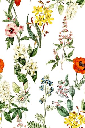 植物印花华亿平台图片