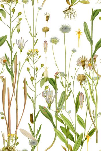 625127-yjn-605-02-02