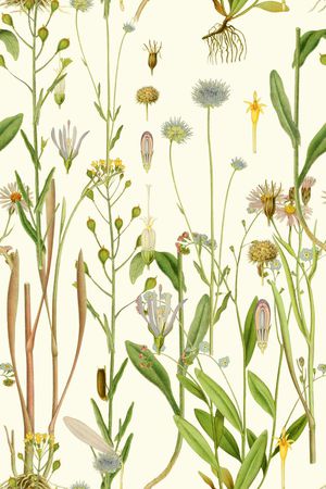 植物印花华亿平台图片