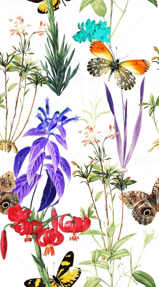 花鸟印花华亿平台图片