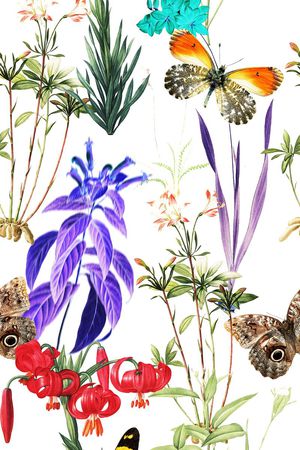 花鸟印花华亿平台图片