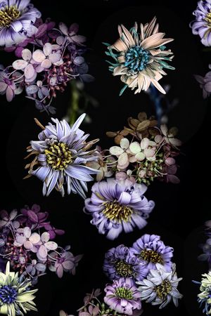 花朵印花华亿平台图片