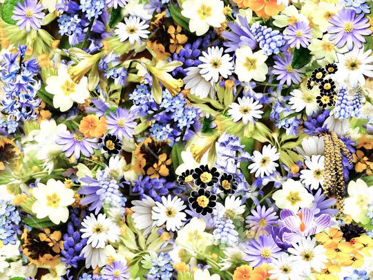 时尚抽象手绘水彩花卉花卉数码印花印花华亿平台图片