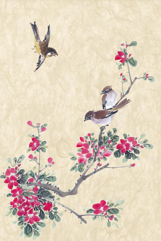 花鸟印花华亿平台图片