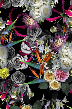 天堂鸟印花华亿平台图片