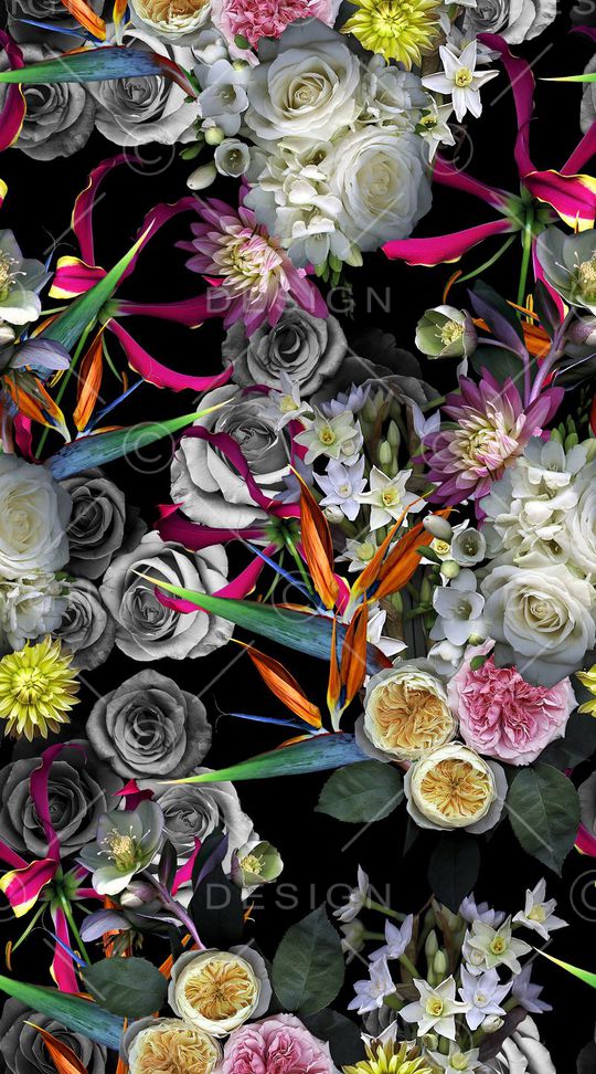 天堂鸟印花华亿平台图片