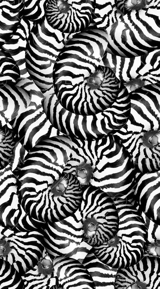 螺旋印花华亿平台图片