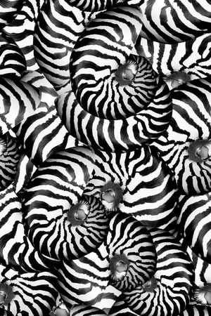 螺旋印花华亿平台图片