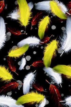 羽毛印花华亿平台图片