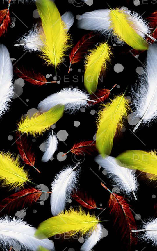 羽毛印花华亿平台图片