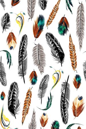 羽毛印花华亿平台图片