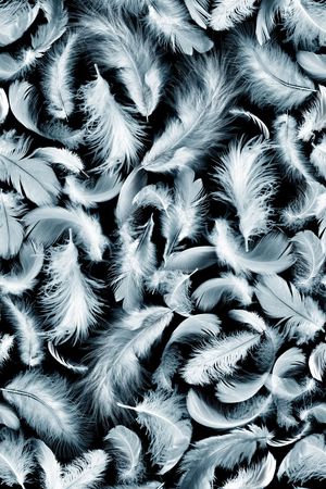 羽毛印花华亿平台图片