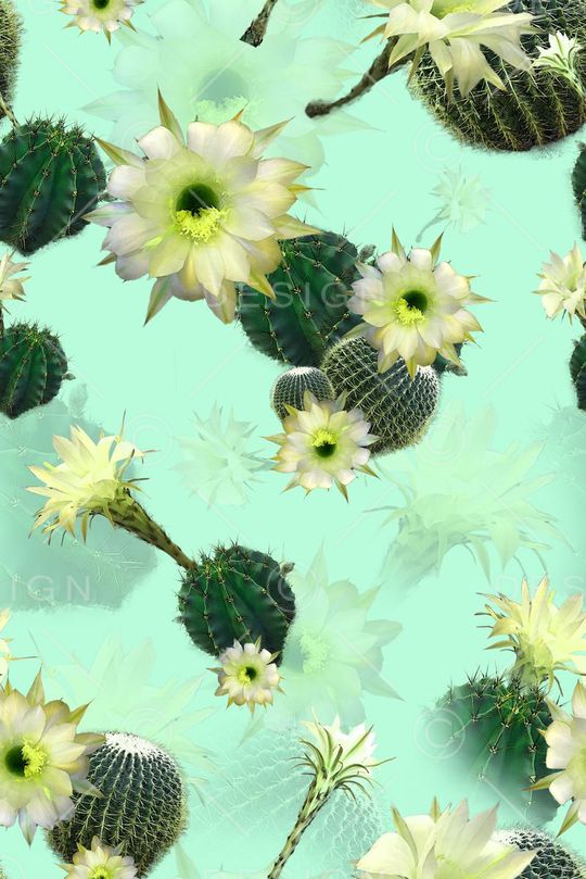 仙人掌印花华亿平台图片