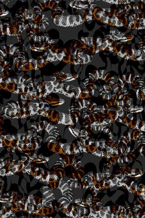 男装印花华亿平台图片