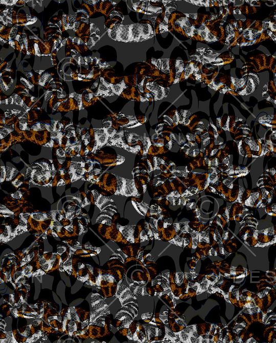 男装印花华亿平台图片