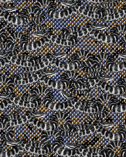 男装印花华亿平台图片