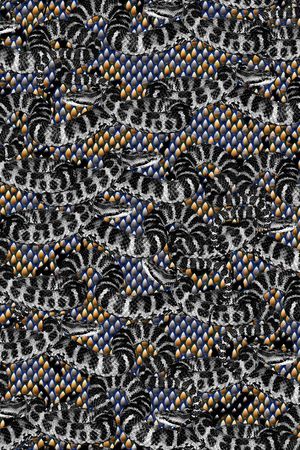 男装印花华亿平台图片