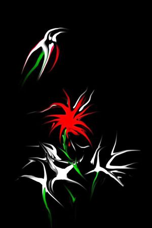 定位印花印花华亿平台图片