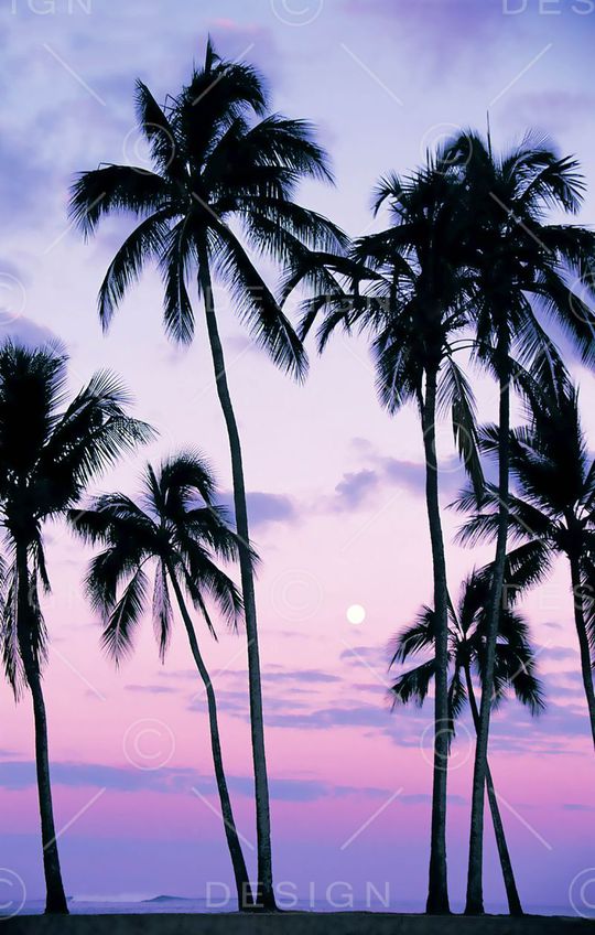 椰树印花华亿平台图片