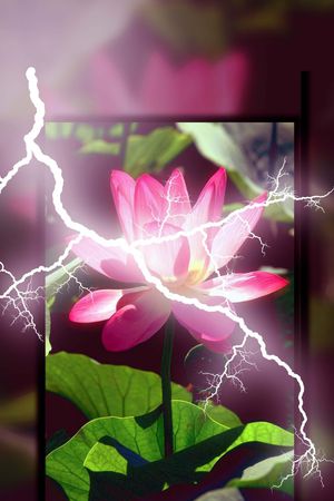 花朵印花华亿平台图片