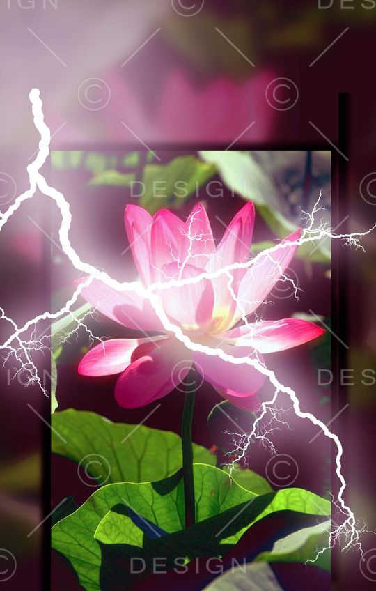 花朵印花华亿平台图片