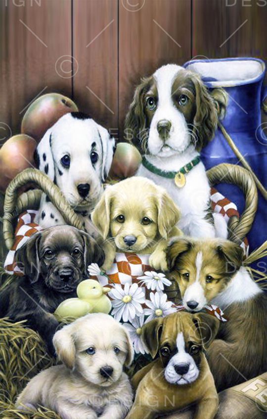 动物印花华亿平台图片