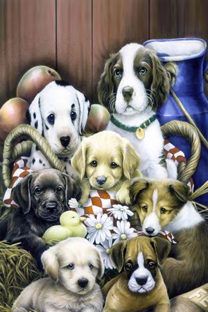 动物印花华亿平台图片