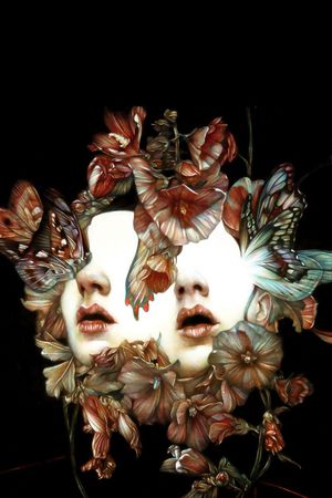 蝴蝶印花华亿平台图片