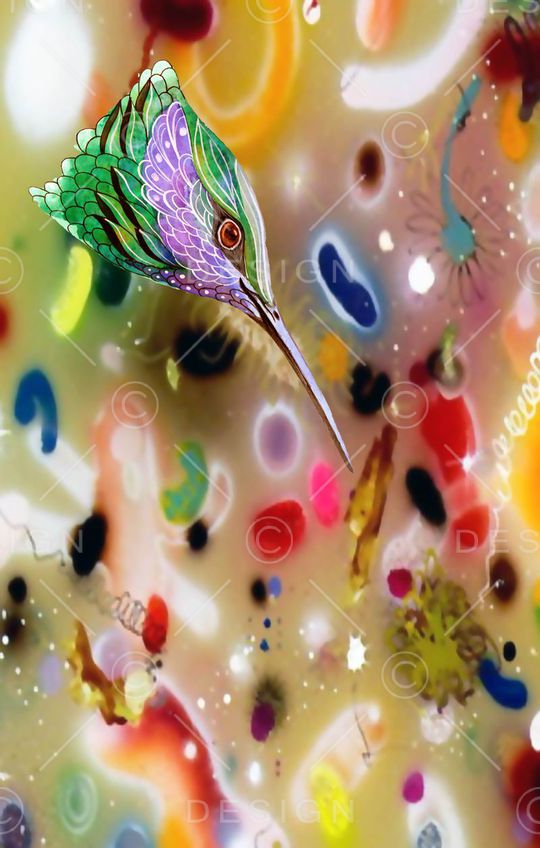 鸟印花华亿平台图片